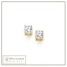 Orecchini in Oro AOZ 161 G